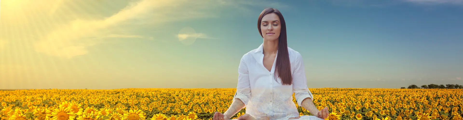 Bundle: Summer Solstice Symposium - Online Course by Learn It Live